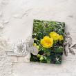 Shaded Stories No 1 Ivory Elegance by A Whimsical Adventure at Oscraps | Creative Team Page