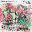 Oscrap-cwd-LaborOfLove-artsy
