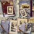 Les Etoiles Vintage Astronomy Illustrations by A Whimsical Adventure at Oscraps | Junk Journal