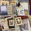 Les Etoiles Vintage Astronomy Illustrations by A Whimsical Adventure at Oscraps | Junk Journal