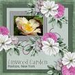 Blooming Garden by ADB Designs Digital Art Layout by Poki
