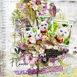 layout for SimplySpring