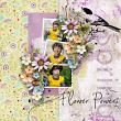 layout for SimplySpring