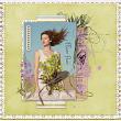 layout for SimplySpring