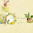 Dandelion Wishes {Collection Bundle} by Mixed Media by Erin Anke55