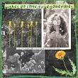 Dandelion Wishes {Collection Bundle} by Mixed Media by Erin example art by NonniF