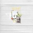 Dandelion Wishes {Collection Bundle} by Mixed Media by Erin example art by Sylvia