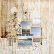 layout for Shore Thing