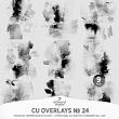 CU Overlays No 24 Organic Impressions I by A Whimsical Adventure at Oscraps