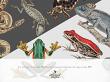 CU Vintage Fauna No 2 Reptiles And Amphibians by A Whimsical Adventure at Oscraps