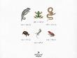 CU Vintage Fauna No 2 Reptiles And Amphibians by A Whimsical Adventure at Oscraps
