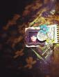 Mr McGregors Garden by A Whimsical Adventure at Oscraps | Creative Team Page