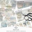 Aestus Collection With Options by A Whimsical Adventure at Oscraps | Prompt Cards And Tickets