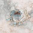 Aestus Collection With Options by A Whimsical Adventure at Oscraps | Creative Team Page