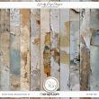 Mixed Media Backgrounds 19 preview2 by Wendy Page Designs