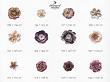 CU Flowers No 11 Fall Blooms by A Whimsical Adventure at Oscraps | Sizes