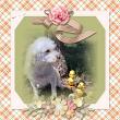 Just Bunny Fun Page Kit PlusLayout by Dana