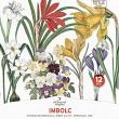 Wheel Of The Year Imbolc by A Whimsical Adventure at Oscraps | Vintage Botanicals