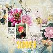 Sweet Smell Of Summer Collection With Options by A Whimsical Adventure at Oscraps | Creative Team Page