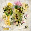 Sweet Smell Of Summer Collection With Options by A Whimsical Adventure at Oscraps | Creative Team Page