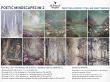Poetic Mindscapes No 2 Drifting Across Stellar Sanctuaries by A Whimsical Adventure at Oscraps