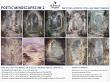 Poetic Mindscapes No 2 Drifting Across Stellar Sanctuaries by A Whimsical Adventure at Oscraps