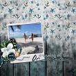  Oh, Crab! by Angelle Designs