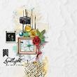 Spotted by Angelle Designs