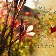 Fall in Memories by Angelle Designs