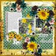 layout for NewJourney-{August}