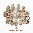 Curiosities No 4 Owls And Oddments by A Whimsical Adventure at Oscraps | Curiosities No 4