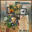 layout for Fungus Among Us