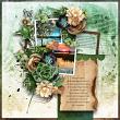 layout for Fungus Among Us