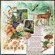 layout for Fungus Among Us