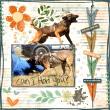 Snugglepaw {Collection Bundle} by Mixed Media by Erin example art by NonniF