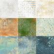 Snugglepaw {Blended Papers} by Mixed Media by Erin Contents