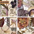 Autumn Breeze Collection With Options by A Whimsical Adventure at Oscraps