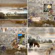 Autumn Breeze Collection With Options by A Whimsical Adventure at Oscraps | Creative Team Page