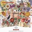 Wheel Of The Year Mabon Collection With Options by A Whimsical Adventure at Oscraps | Elements