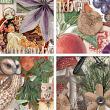 Wheel Of The Year Mabon Collection With Options by A Whimsical Adventure at Oscraps | Elements