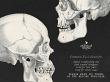 CU Vintage Anatomy No 1 Skulls by A Whimsical Adventure at Oscraps