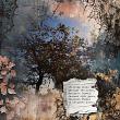 Brushes No 3 Organic Lace by A Whimsical Adventure at Oscraps | Creative Team Page