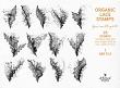 Brushes No 3 Organic Lace by A Whimsical Adventure at Oscraps