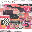 DSD 2025 Grab Bag #2 (CU) by Mixed Media by Erin Mixed Media Paper Bits V1