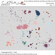 DSD 2025 Grab Bag #2 (CU) by Mixed Media by Erin Splatters V3