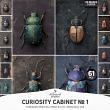 Curiosity Cabinet No 1 'Threaded Beetles' by A Whimsical Adventure at Oscraps