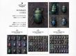Curiosity Cabinet No 1 'Threaded Beetles' by A Whimsical Adventure at Oscraps