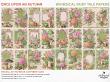 Once Upon An Autumn Vintage Style Fairy Tale Papers by A Whimsical Adventure at Oscraps