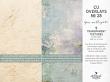 CU Overlays No 28 Stucco Flourishes by A Whimsical Adventure at Oscraps