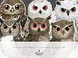 CU Whimsical Critters No 2 Hootie Friends by A Whimsical Adventure at Oscraps